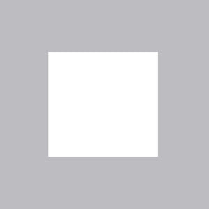 T-Bar Lay-in Panel Only 700-2X4