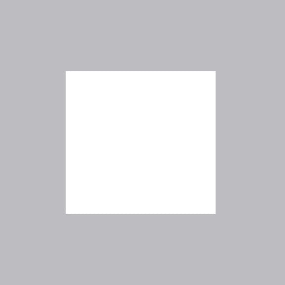 T-Bar Lay-in Panel Only 700-2X4